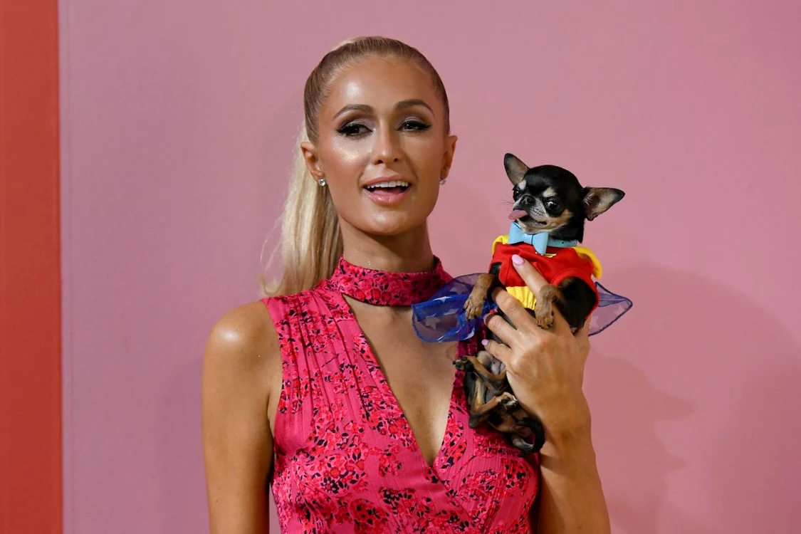 Paris Hilton și-a pierdut cățelușa FOTO: GETTY IMAGES