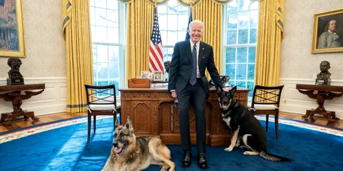 joe biden caini casa alba biroul oval foto hepta mediafax