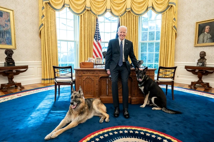 Preşedintele american Joe Biden, în Biroul Oval din Casa Albă, alături de câinii săi, Champ (stânga imaginii) şi Major (dreapta imaginii) Foto Hepta / Mediafax