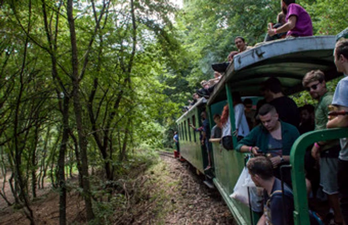 Mocănița a deraiat în județul Maramureș iar incidentul a făcut 12 victime, printre care și 2 copii Foto: Arhivă Click