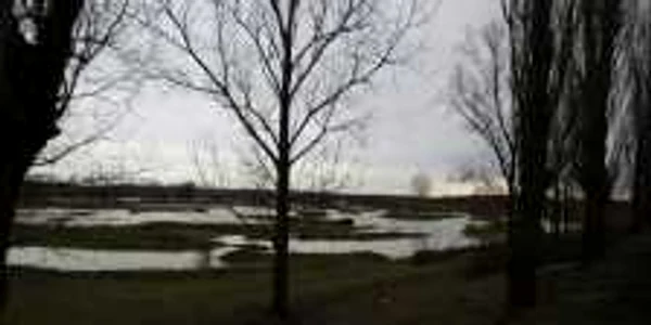 Aproape 200 de hectare au fost indundate la Răuseni