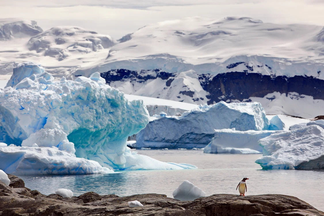 Antarctica este adesea asociată cu imaginea pinguinilor și a întinderilor albe nesfârșite