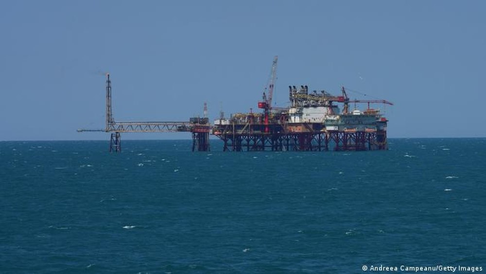 Greenpeace atacă în instanţă PUZ-ul emis pentru proiectul Neptun Deep: riscuri la adresa speciilor vulnerabile din Marea Neagră