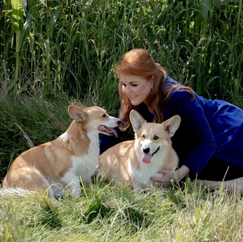 Sarah Ferguson și Corgi, 2023, Instagram