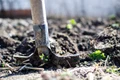 agricultura jpeg
