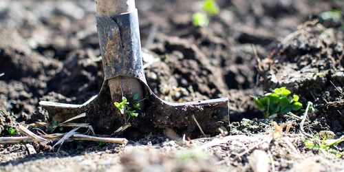 agricultura jpeg