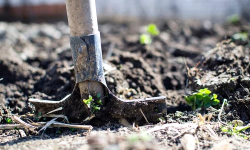 agricultura jpeg