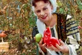 Banner Dorel Vișan 