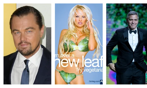 Untitled collage jpeg