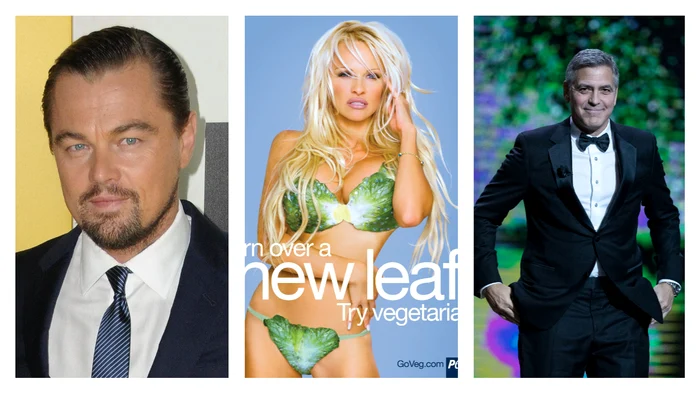 Untitled collage jpeg