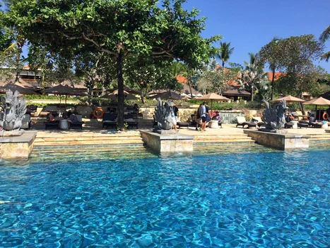 13138762 1187553327955672 834674766117927298 n jpeg