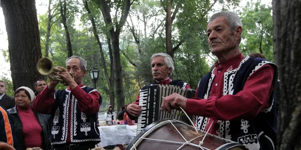festivalul etniilor 2013