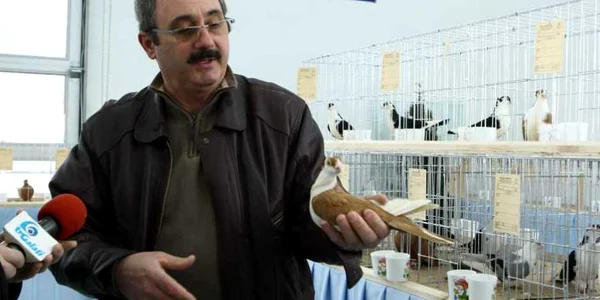 Gălăţeanul care a crescut un porumbel devenit în 2010 campion european la frumuseţe