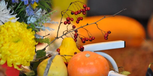 expozitie fructe