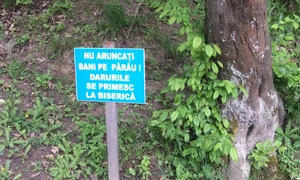 Mediatizîndu l pe Arsenie Boca jpeg