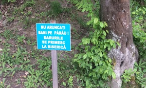 Mediatizîndu l pe Arsenie Boca jpeg
