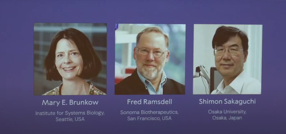 Cine sunt cei trei cercetători care au primit Premiul Nobel pentru Medicină 2025. Ce au descoperit