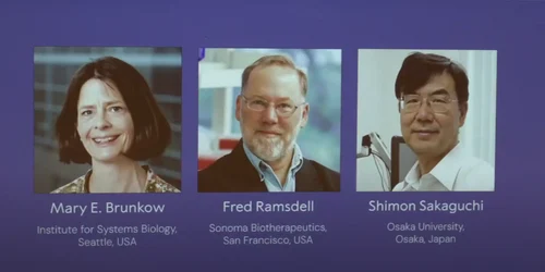 Cercetătorii Mary E. Brunkow, Fred Ramsdell şi Shimon Sakaguchi au primit Premiul Nobel pentru Fiziologie sau Medicină din 2025 foto captura video YT