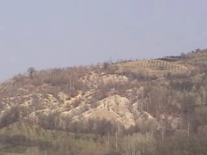 Scheletele unor peşti de acum 56 de milioane de ani, în Rezervaţia fosiliferă Marlauz, un monument al naturii
