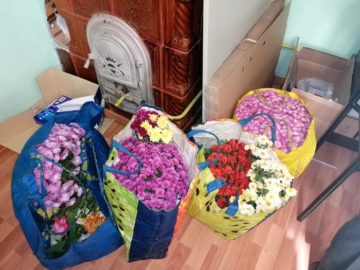 Florile găsite asupra suspectei de furt FOTO Vremea Nouă