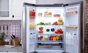 Frigider FOTO Shutterstock jpg