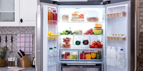 Frigider FOTO Shutterstock jpg