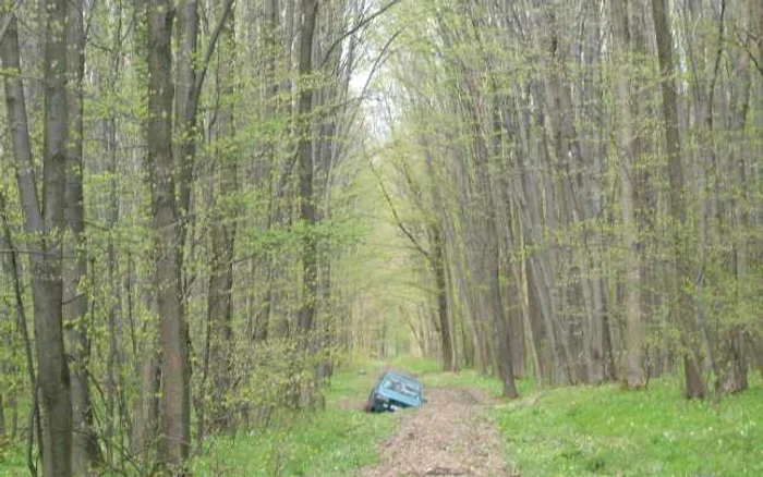 Poliţist suspectat ca avea doua arme cu tir in masina cu care se plimba prin padure