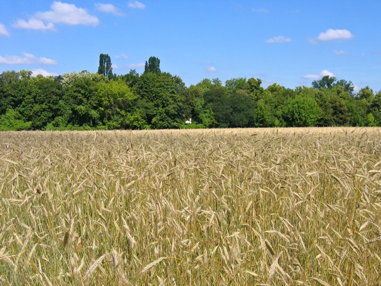 Clubul Fermierilor România a preluat 49% din Agricover Broker de Asigurare