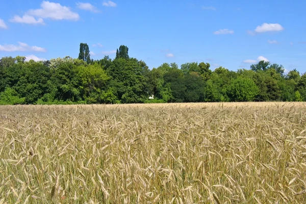 Clubul Fermierilor România a preluat 49% din Agricover Broker de Asigurare
