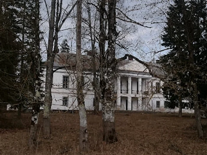 Acesta a murit în castelul de la Petriș FOTO Andrei Ando 