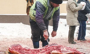 porci3 shutterstock 560351878 jpeg