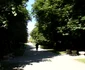 Parcul Central