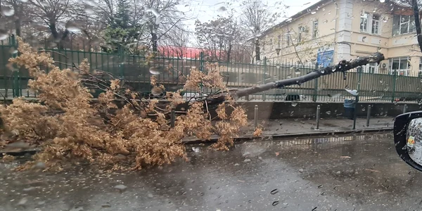 FOTO Irina Elena Albea Facebook jpg