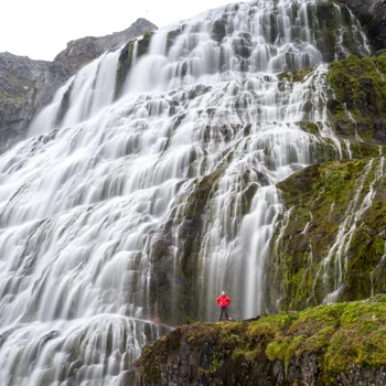 Dan Grec / Foto: Instagram