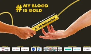 1 vizual mybloodisgold jpg jpeg
