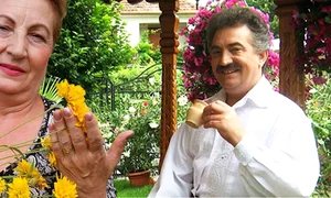banner Petrică Mitu Stoian png