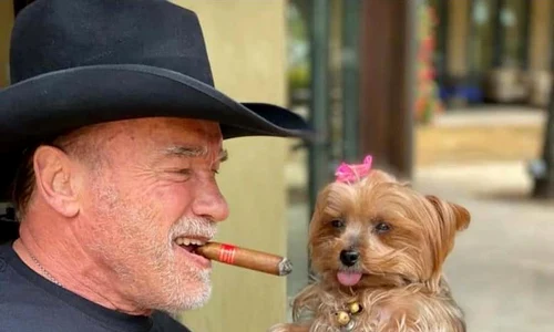 Arnold  Schwarzenegger  (72 de ani) jpeg