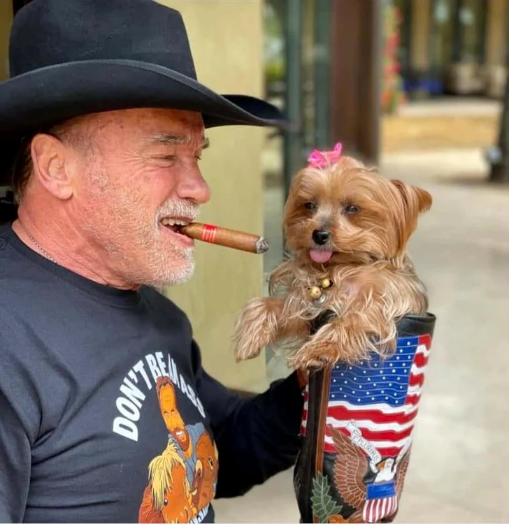 Arnold Schwarzenegger (72 de ani)