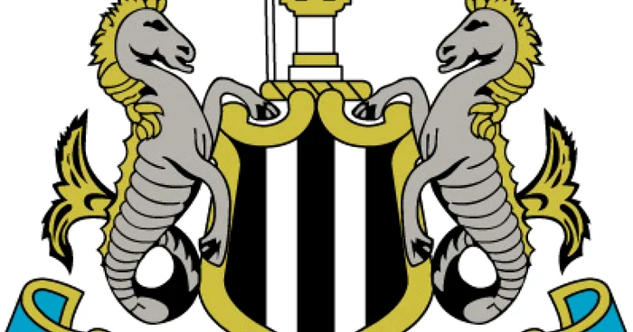 FOTBAL: Newcastle va avea un nou proprietar