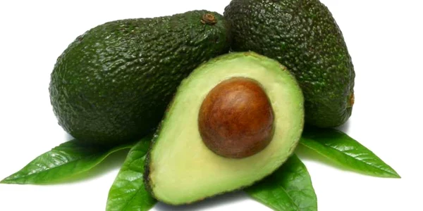 tratamente naturiste cu avocado FOTO shutterstock