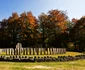 sarmizegetusa regia foto remus suciu