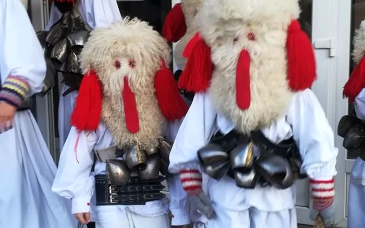 brondosi cavnic. foto arhiva personala