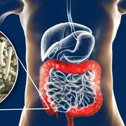 paraziti intestinali jpg
