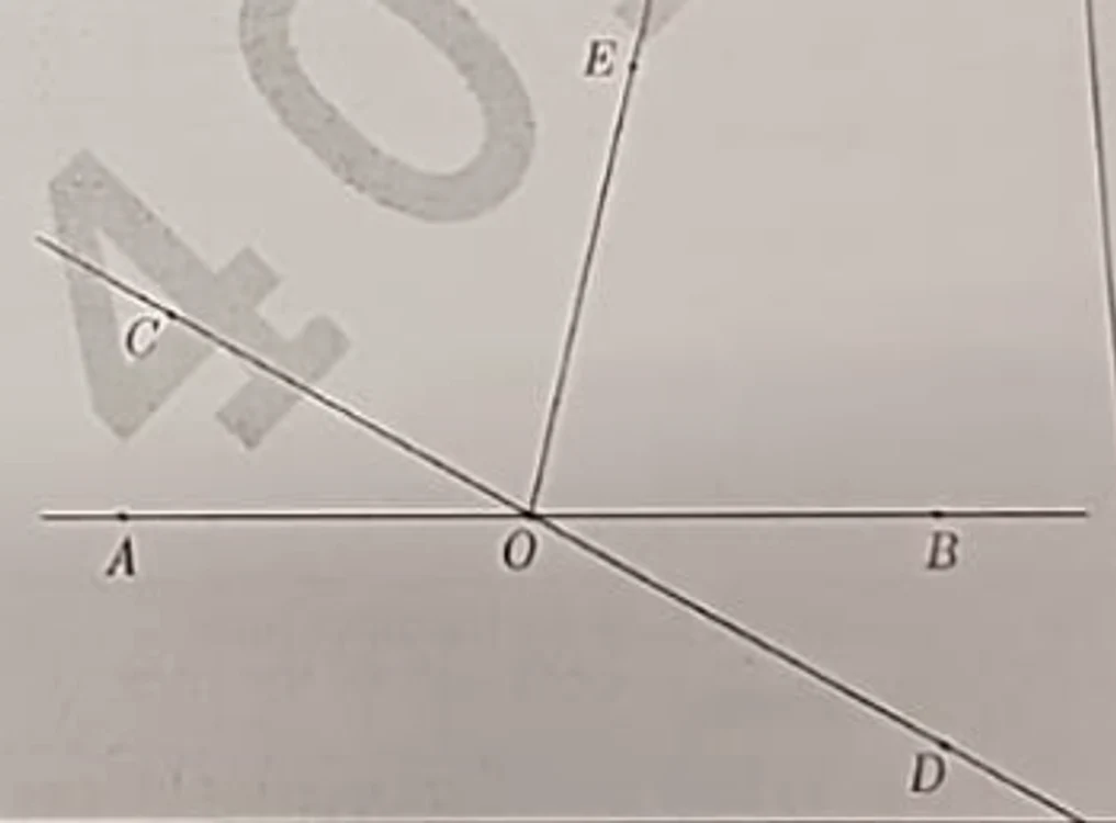 Figura din exercițiul 2, sub 2