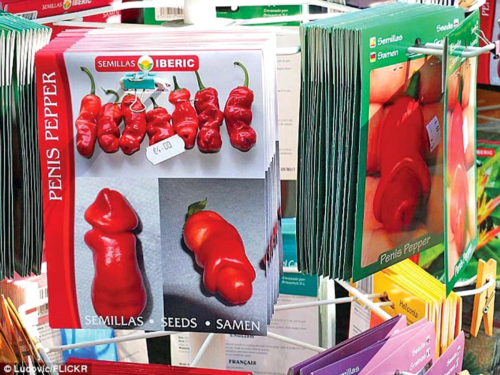 
    Seminţele se vând  la plic cu 4 euro  