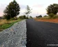 Tinutul padurenilor sosea cerbal socet foto daniel guta adevarul