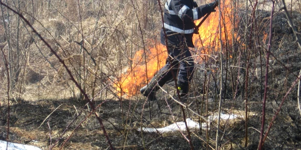 incendiu vegetatie uscata