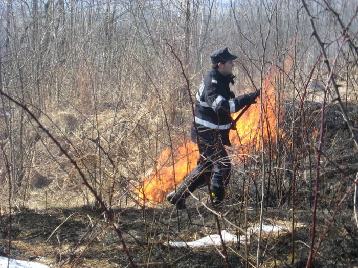 Pompierii intervin pentru lichidarea unui incendiu de vegetaţi uscată. FOTO: Arhiva Adevărul