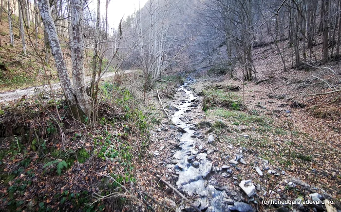 Valea Gerosu, unde au fost lucrări miniere. Foto: Daniel Guță