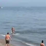 GIF ton plaja